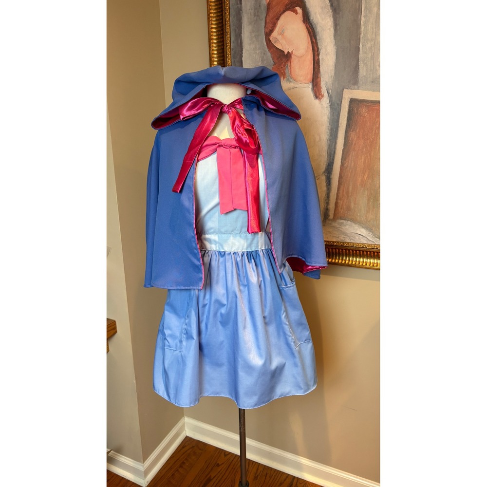 Lover Dovers Fairy Godmother Apron Cape Costume Set Blue Pink Womens Size 12